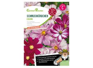 4050957319393 - Saatband-Set Schmuckkörbchen Cosimo 3 x 2 m