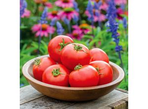 4050957354318 - Tomatensamen Crimson Crush F1