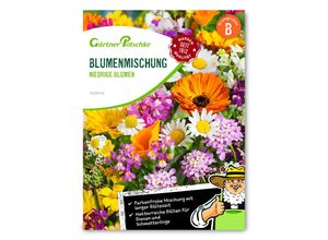 4050957439206 - Niedrige Blumensamenmischung einjährig