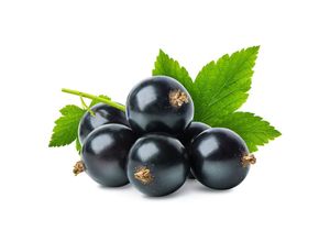 4050957455244 - BIO Johannisbeere Blackbells®