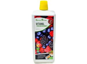 4050957459181 - Vitanal für Beerenobst 1 Liter