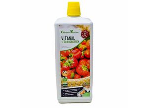 4050957459259 - Vitanal für Erdbeeren 1 Liter