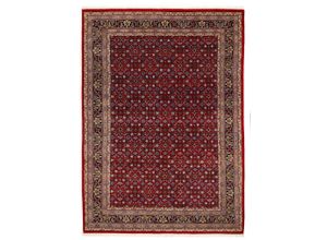 4051011212780 - Orientteppich DIE TEPPICHMARKE Himla Herati Teppiche Gr B L 250 cm x 350 cm 20 mm 1 St rot (rot blau) Fransenteppich Orientalische Muster reine Wolle hochwertig handgeknüpft mit Fransen warmes Raumklima