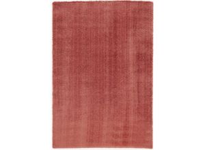 4051011438524 - Hochflor-Teppich DIE TEPPICHMARKE Soft Dream Teppiche Gr B L 200 cm x 250 cm 30 mm 1 St rot (rosenholz) Esszimmerteppiche besonders weich durch Microfaser Wohnzimmer