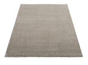 4051011893569 - Teppich DIE TEPPICHMARKE NEW VILLA MELANGE Teppiche Gr B L 120 cm x 170 cm 20 mm 1 St braun (hellbraun) Esszimmerteppiche maschinell gewebt strapazierfähig alle Wohnräume