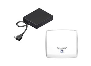 4051214904109 - Homematic ip Set bestehend aus Homematic ip Access Point+Aufsteckmodul - Novoferm