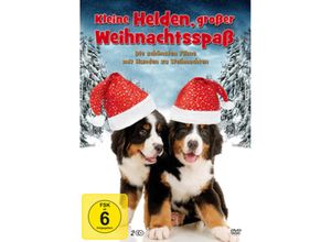 4051238056167 - Kleine Helden großer Weihnachtsspaß (DVD)