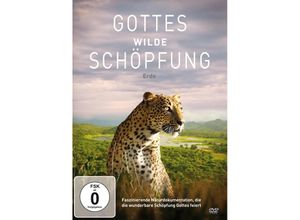 4051238074895 - Gottes Wilde Schöpfung Erde - DrGordon LWilson (DVD)