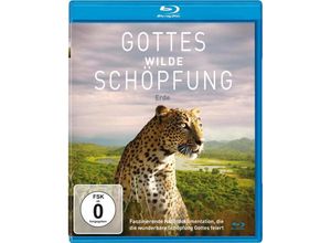 4051238079685 - Gottes wilde Schöpfung Erde (Blu-ray)