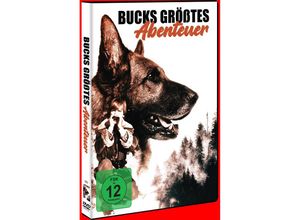 4051238088205 - Bucks größtes Abenteuer (DVD)