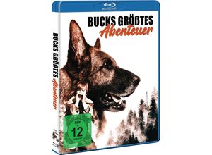 4051238088212 - Bucks größtes Abenteuer (Blu-ray)