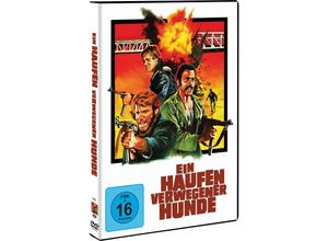 4051238088342 - Ein Haufen verwegener Hunde (DVD)