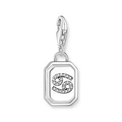 4051245571424 - Krebs Sternzeichen Charm-Anhänger aus Sterlingsilber