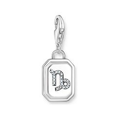 4051245571486 - Steinbock Charm-Anhänger mit Zirkonia Sterlingsilber