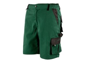 4051428053853 - Albatros - 286240 allround green Shorts grün schwarzXS