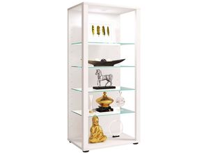 4051814412233 - Glasvitrine stehend Vitrine Glas mit ESG-Sicherheitsglas Maße ca H 115 x B 52 x T 35 cm Standvitrine Glas Modern und platzsparend Glas Vitrinenschrank – Glasol lll