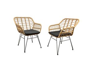 4051814429064 - 2-tlg Set Gartenstuhl Loungestuhl Sessel Rattan Balkonstuhl Camping Sitzkissen Ragali (Farbe Braun)