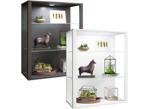4051814431562 - Wandregal Glasvitrine hängend Vitrine Glas mit ESG-Sicherheitsglas Maße ca H 90 x B 70 x T 35 cm Hängevitrine Glas Modern und platzsparend Glas Vitrinenschrank - Glasol LW Gr 70 weiß B70cm H90cm T35cm Holzwerkstoff Holz Spanplatte Glas Regale