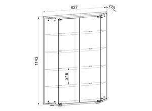 4051814434952 - Glasvitrine stehend Vitrine Glas mit ESG-Sicherheitsglas Maße ca H 114 x B 83 x T 17 cm Standvitrine Glas Modern und platzsparend Glas Vitrinenschrank – Cenila L