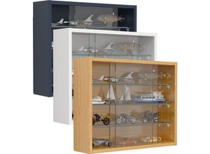 4051814440359 - Wandregal Hängevitrine Wandvitrine Sammel Deko Drivalo S Gr 50 grau (anthrazit) B50cm H40cm T12cm Holzwerkstoff Holz Spanplatte Glas Regale