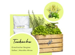 4051814447716 - URBAN-Hochbeet Holz Kräuterbeet Küche Kiste Obstkiste rechteckig stehender Pflanzkasten für Garten Terrasse Balkon Küche - H 30 x B 50 x T 40 cm