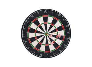 4051883003097 - Dartscheibe - Sisal Dartboard - versch Varianten