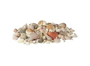 4052025211103 - Relaxdays Muschel Deko im Set XL-Mix mit großen Meeresschnecken Herzmuscheln maritime Tischdeko zum Basteln 2kg bunt