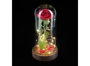 4052025360313 - Ewige Rose mit Lichterkette Geschenk Frauen Glaskuppel Holzsockel Die Schöne und das Biest Kunstrose rot - Relaxdays