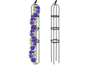 4052025426477 - Relaxdays - Rankhilfe Obelisk 2er Set 160cm hoch Ranksäule für Kletterpflanzen Metall freistehend Rosenturm schwarz