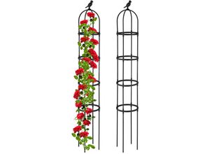 4052025426521 - Relaxdays - Rankhilfe Obelisk 2er Set 188x30 cm Ranksäule für Kletterpflanzen Metall freistehend Rosenturm schwarz