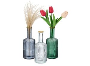 4052025498252 - Vasen aus Glas im 3er Set Blumenvasen in Flaschenform h x d 205 x 8 cm Dekovasen gerillt mehrfarbig - Relaxdays