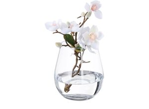 4052025871185 - Blumenvase Glasvase für Blumen Tischvase aus Klarglas hohe Tulpenvase Maße h x d 16 x 14 cm transparent - Relaxdays