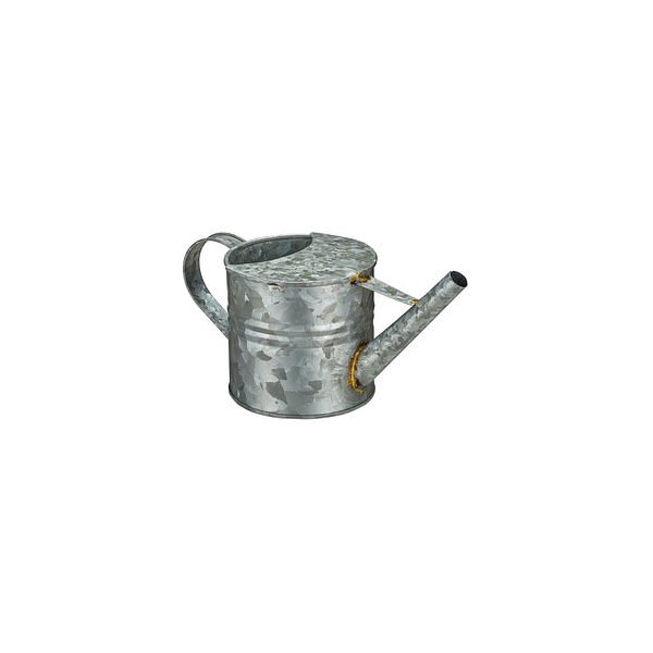 4052025906955 - Gießkanne silber 4052025906955 relaxdays 4052025906955 - Gießkanne silber 4052025906955 relaxdays