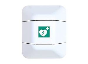 4052301043718 - Defibrillatorschrank B 434 x T 225 x H 528 mm weiß