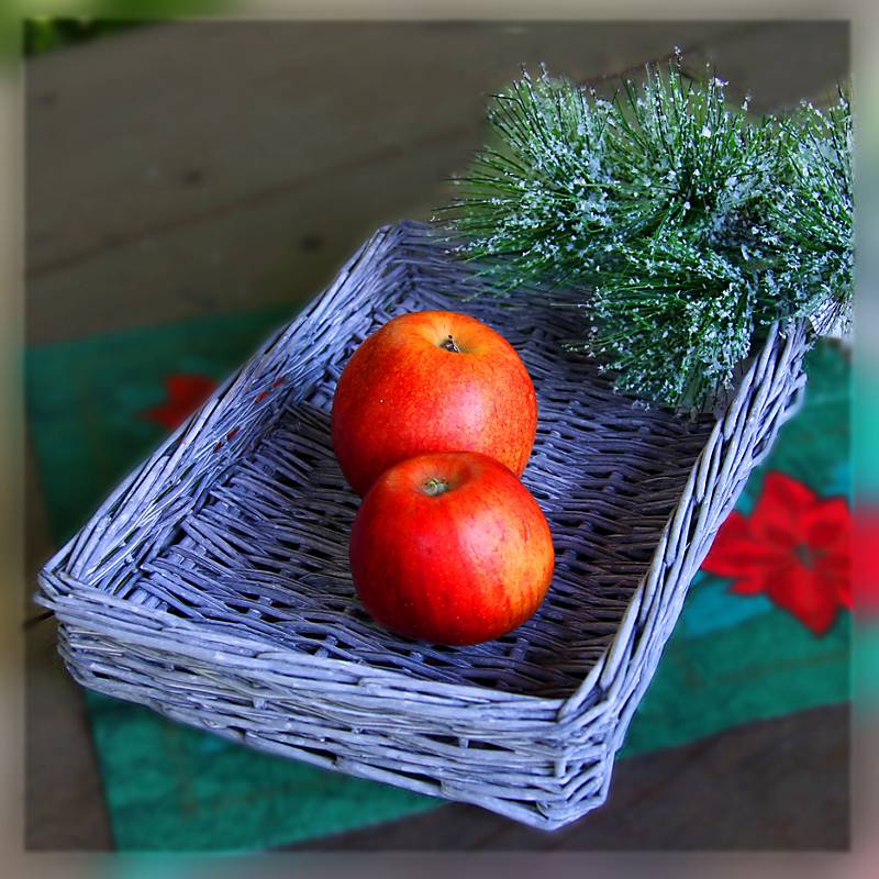 4052884006865 - Weidentablett (29cm)