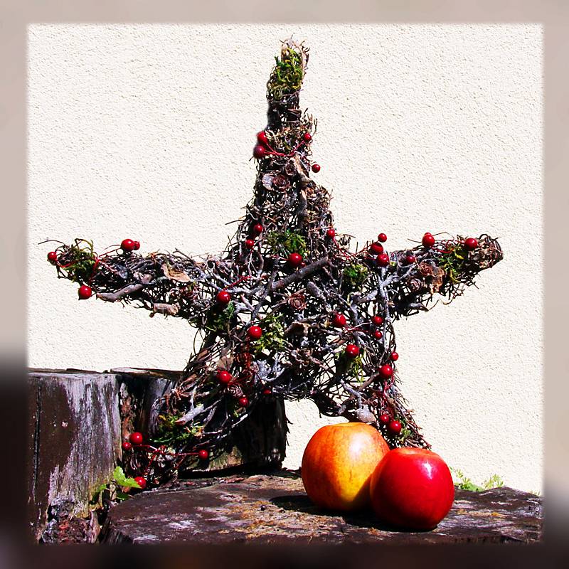 4052884006933 - Stern Beeren (38cm)