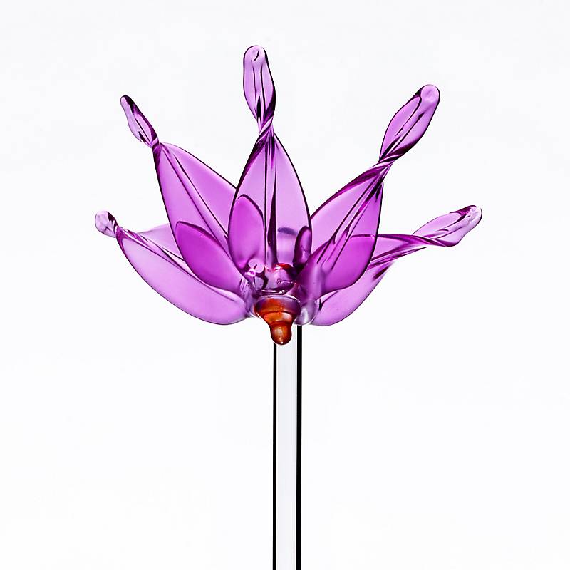 4052884042870 - Glasblume Perle Fantasia (60cm) Schwert