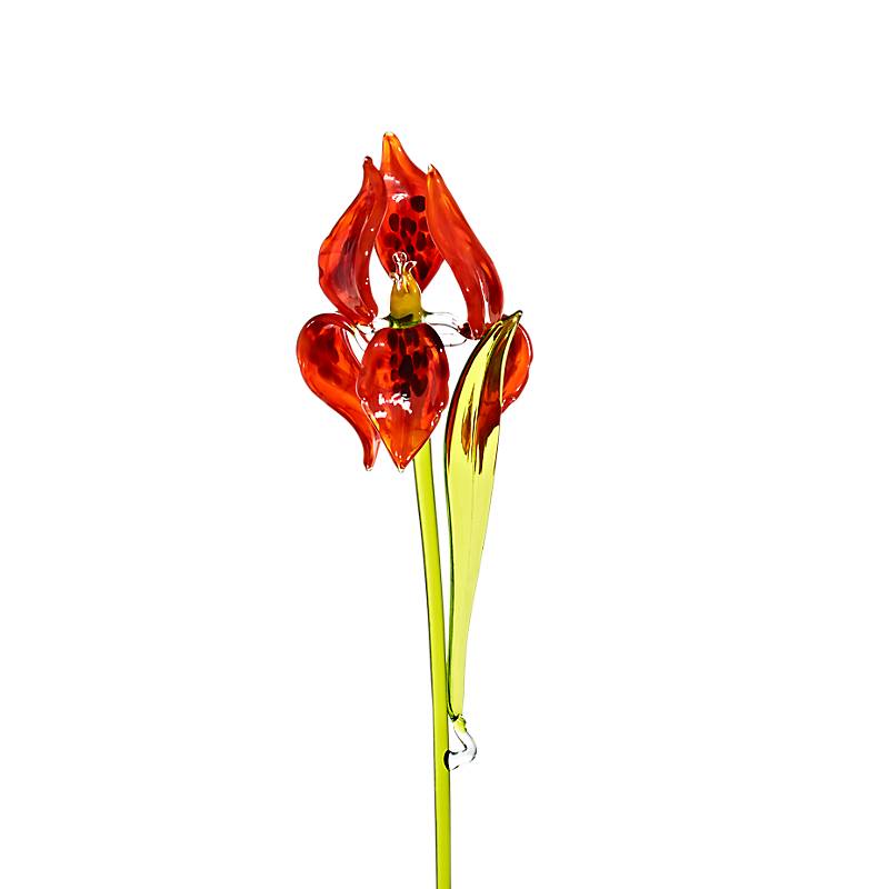 4052884066128 - Iris Blumen (40-45cm)
