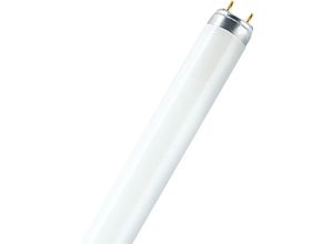 4052899209039 - T8 Lumilux 36W - 865 Tageslichtweiß 120cm - Osram