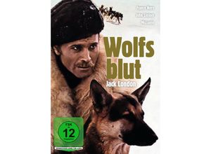 4052912170247 - Wolfsblut (DVD)