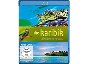 4052912170681 - Die Karibik - Überleben im Paradies (Blu-ray)