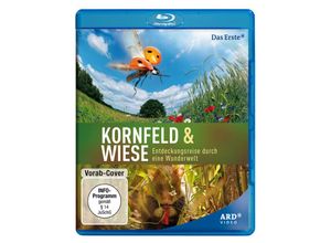 4052912360839 - Kornfeld & Wiese - Entdeckungsreise durch eine Wunderwelt (Blu-ray)