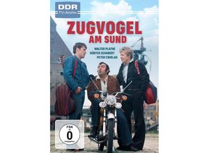 4052912391390 - Zugvogel am Sund (DVD)