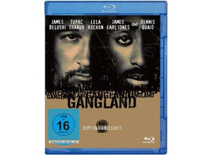 4052912392472 - Gangland - Cops unter Beschuss (Blu-ray)