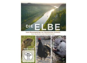 4052912573635 - Die Elbe - Vom Riesengebirge zur Sächsischen Schweiz von Sachsen zum Wattenmeer (DVD)