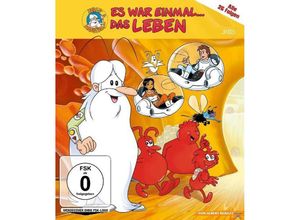 4052912673137 - Es war einmal  Das Leben Bluray Box (Blu-ray)