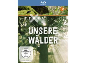 4052912772663 - Petra Höfer - GEBRAUCHT Terra X Unsere Wälder [Blu-ray] - Preis vom 18082023 050225 h