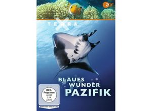 4052912872462 - Terra X - Blaues Wunder Pazifik (DVD)