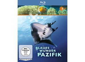 4052912872479 - Terra X Blaues Wunder Pazifik (Blu-ray)