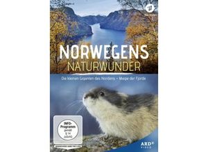 4052912872929 - Norwegens Naturwunder Die kleinen Giganten des Nordens   Magie der Fjorde (DVD)